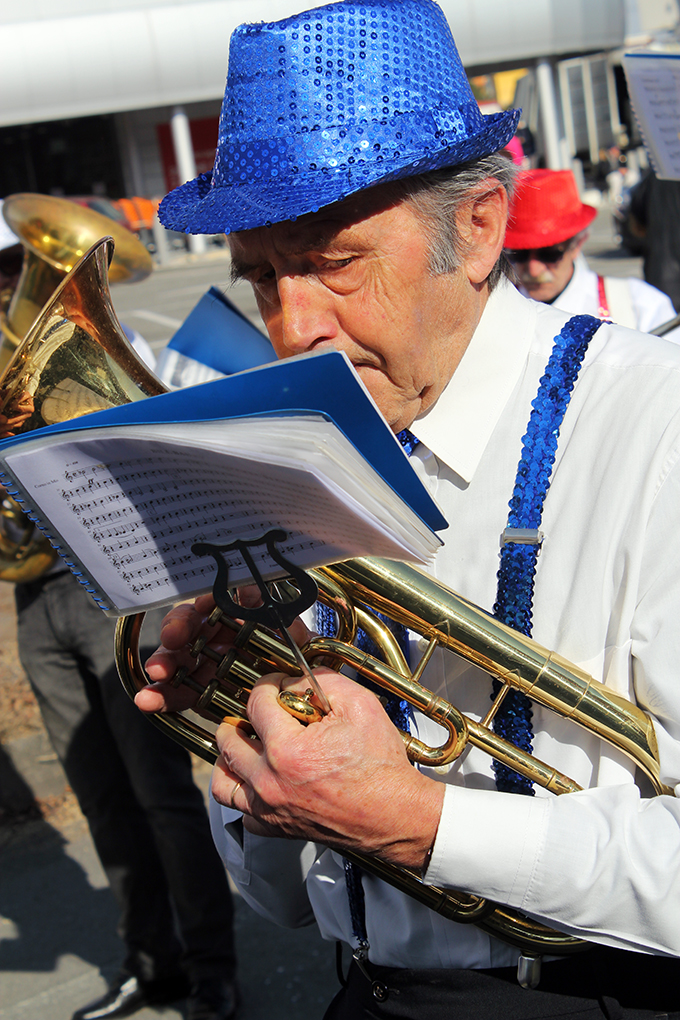 Carnevale Alpignano (69).jpg